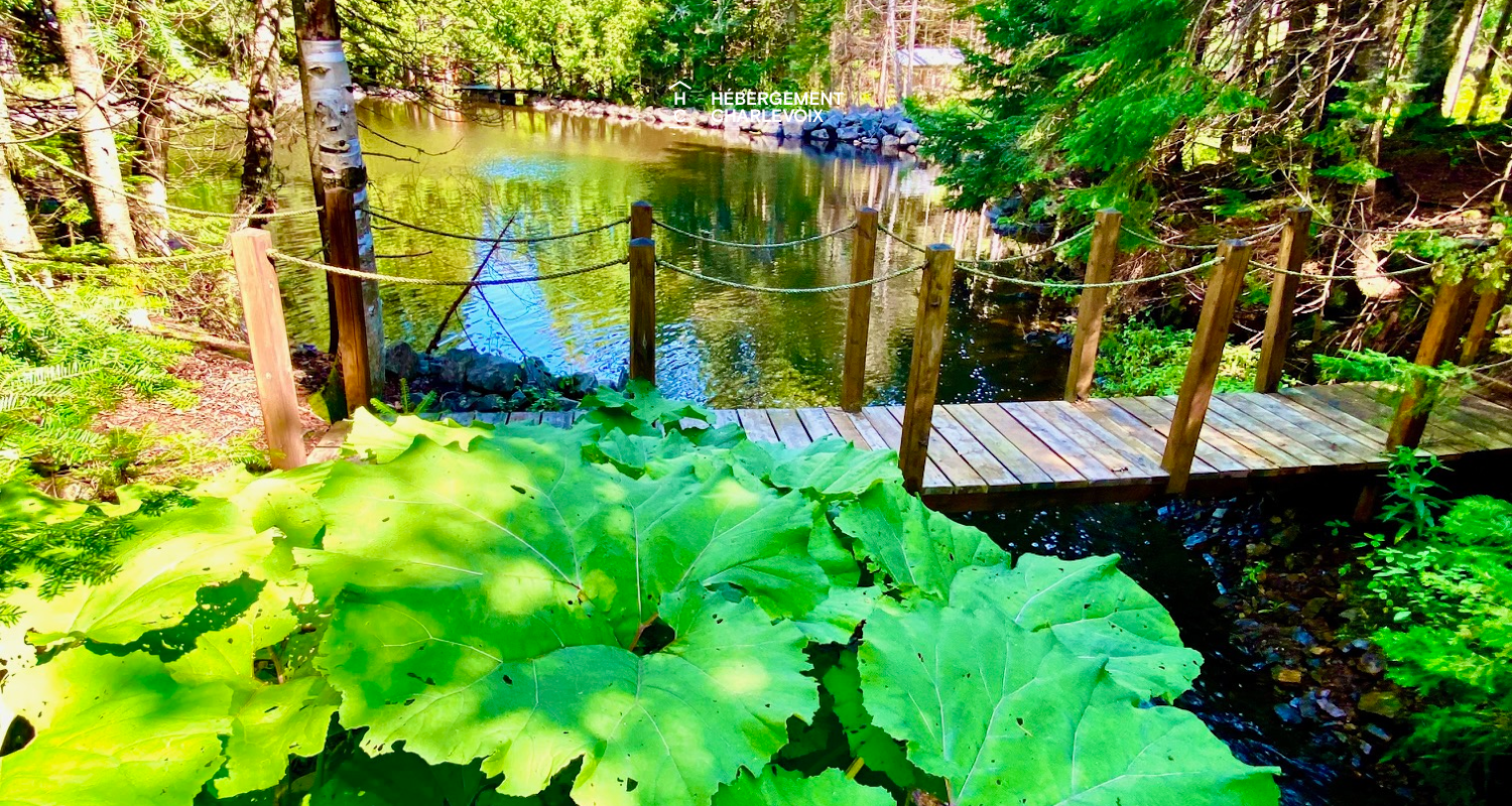 NIF-256 - Cottage on the edge of a lake with trail, waterfall and pond